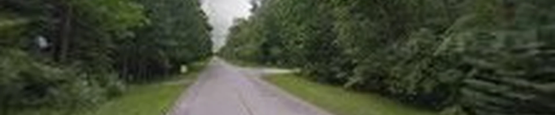Lakeshore Tree Service