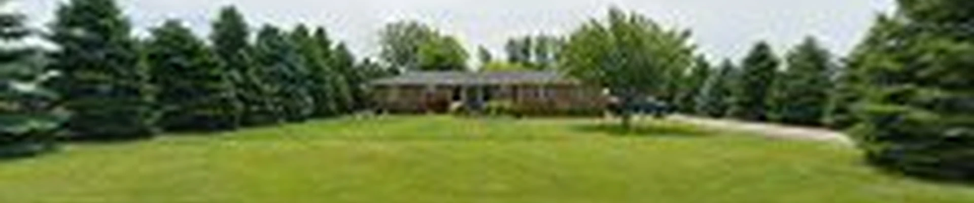 Century Tree Service