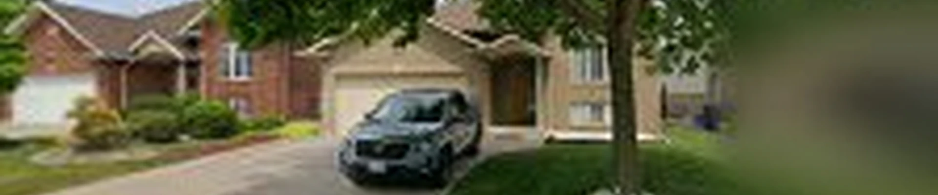 Olympia Tree Care Ltd.
