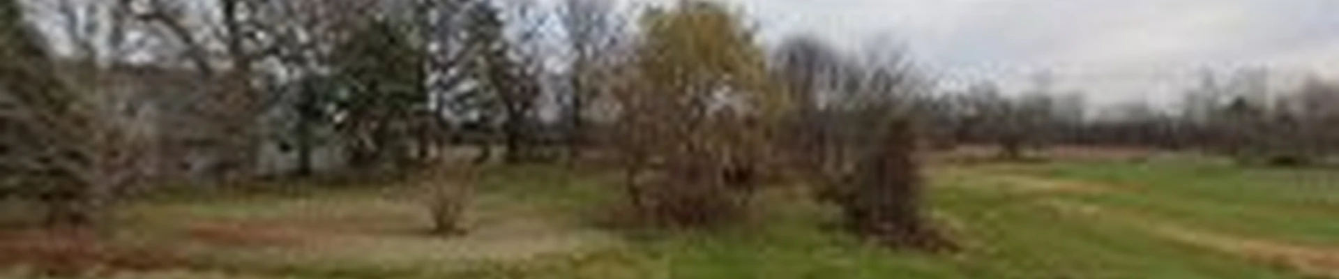 Advanced Tree Experts Inc