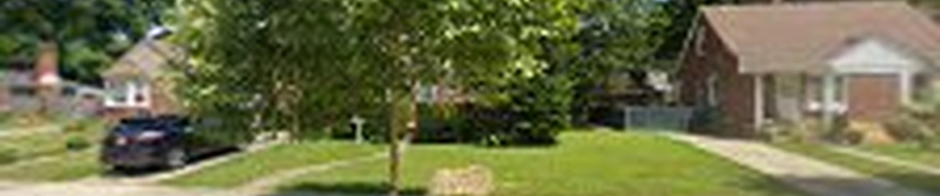Johnny Redbones Tree Service