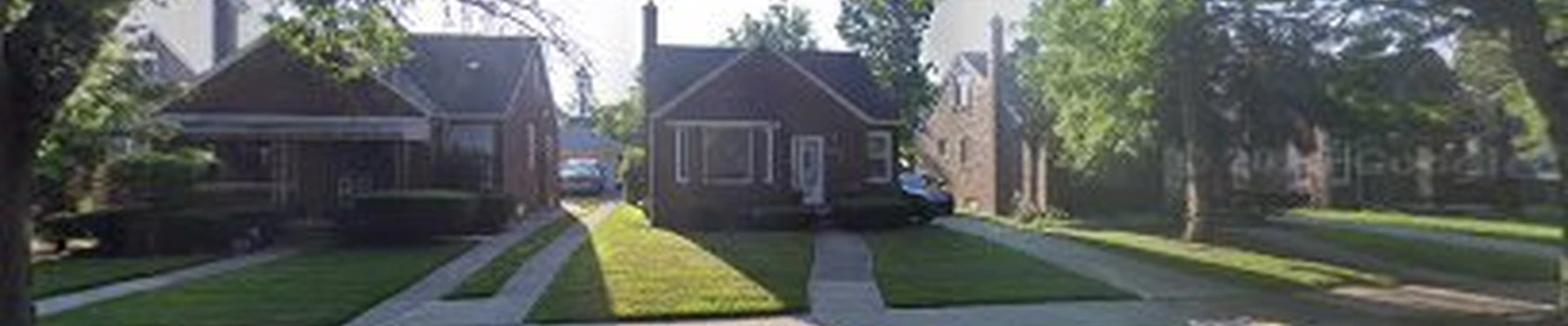 ANUR Lawn care And Tree service Detroit