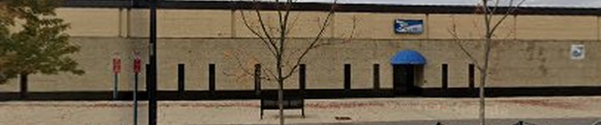 Detroit Tree Service