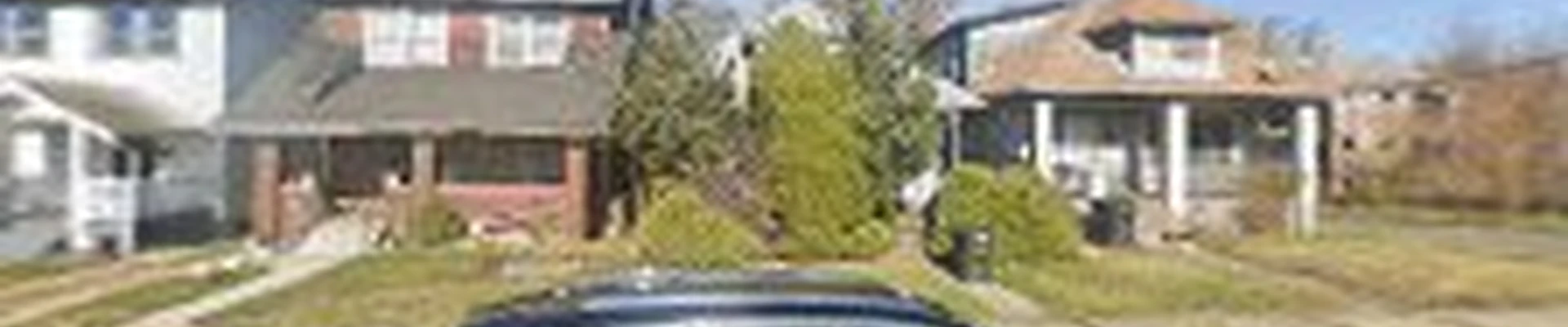 Safe Tree Service LLC