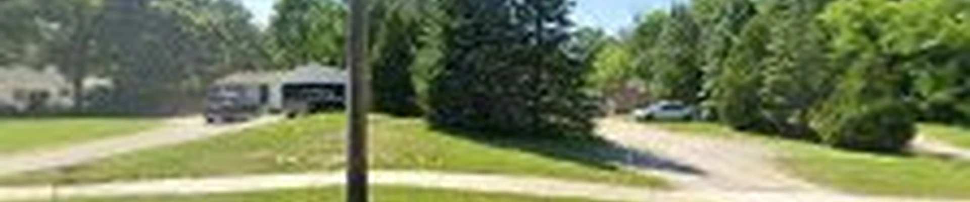 Elvis tree service LLC