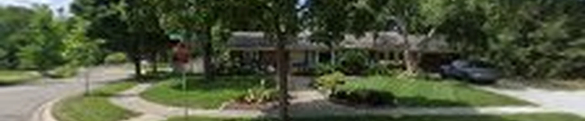 MLS Tree Services