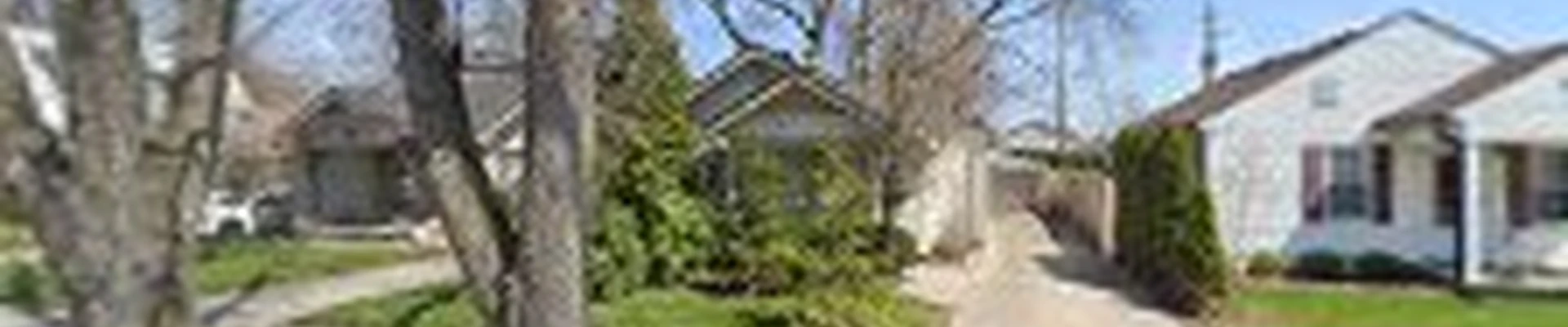 Alan's Tree Service