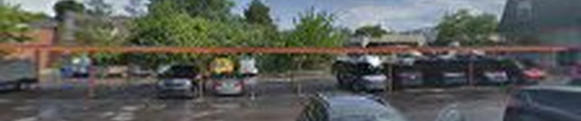 Harlow tree service