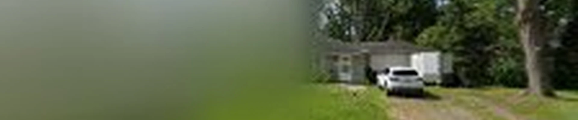 Miller Tree Company - Tree Service