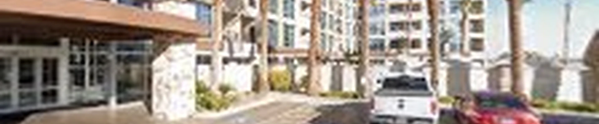 Vegas Best Tree Service – Tree Removal, Trimming & Stump Grinding
