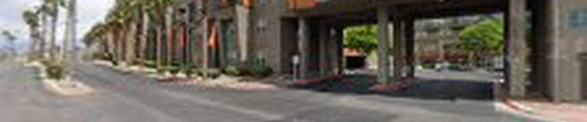 Tree Service Las Vegas