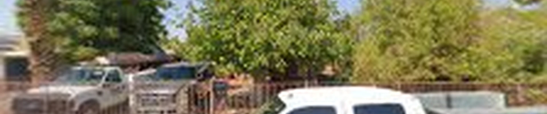 James Cary tree service