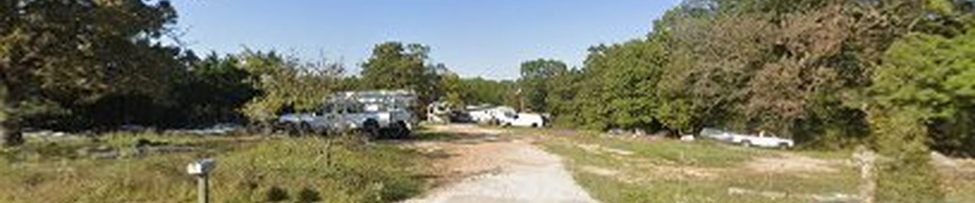 Professional Tree Trimming Services LLC