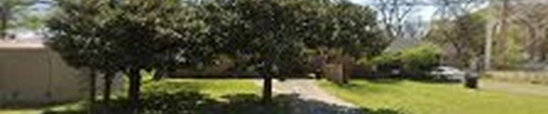 Glens Professional Tree service
