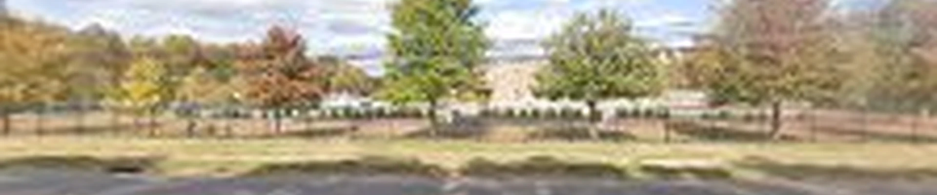 Michael's Tree & Loader Service
