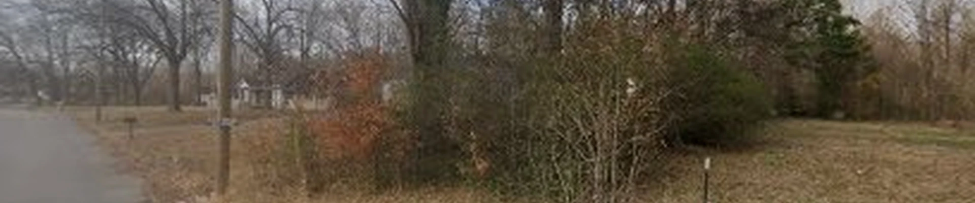 L Thompson & Sons Tree Services