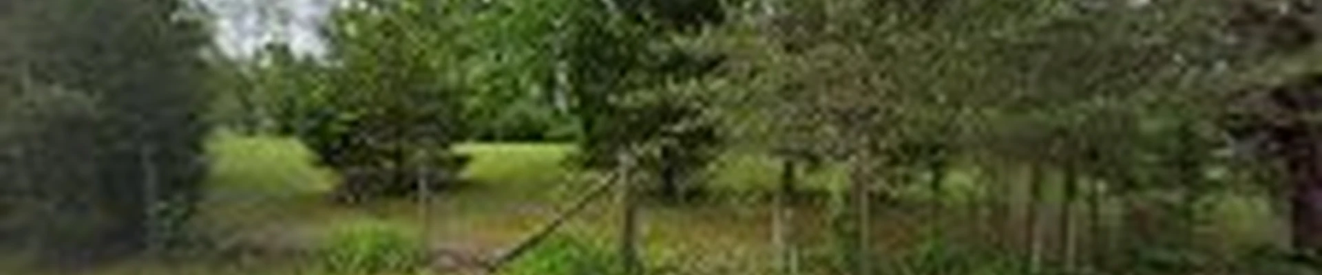 Cummins Tree Service