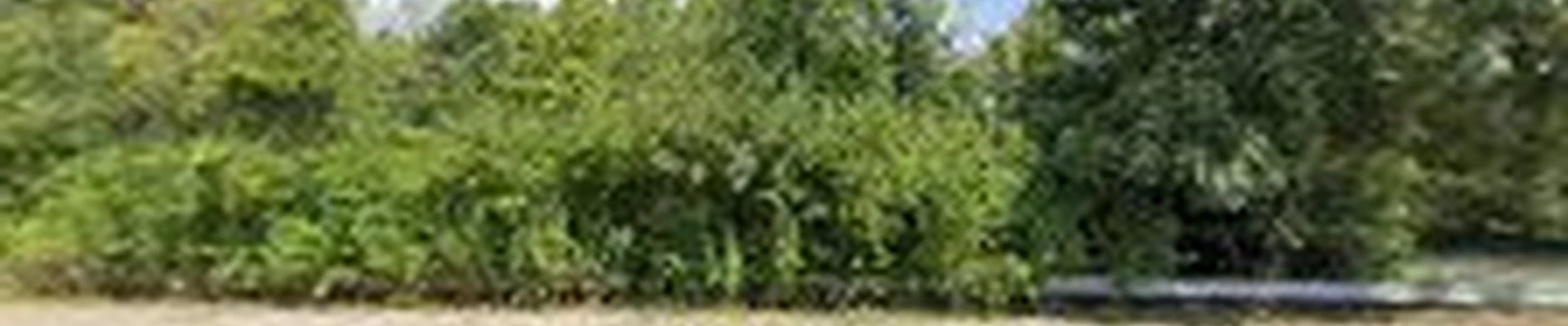 ACE TREE SERVICE
