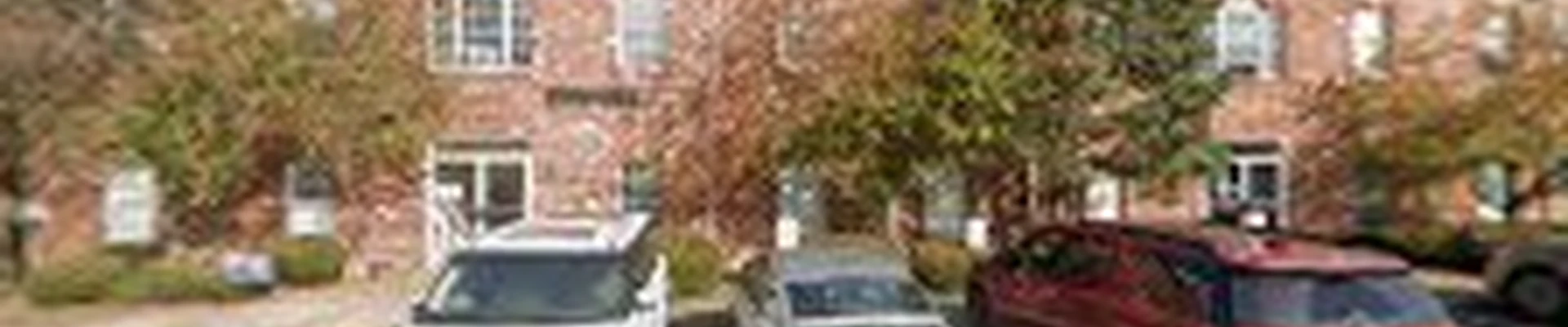 Tree Care Inc