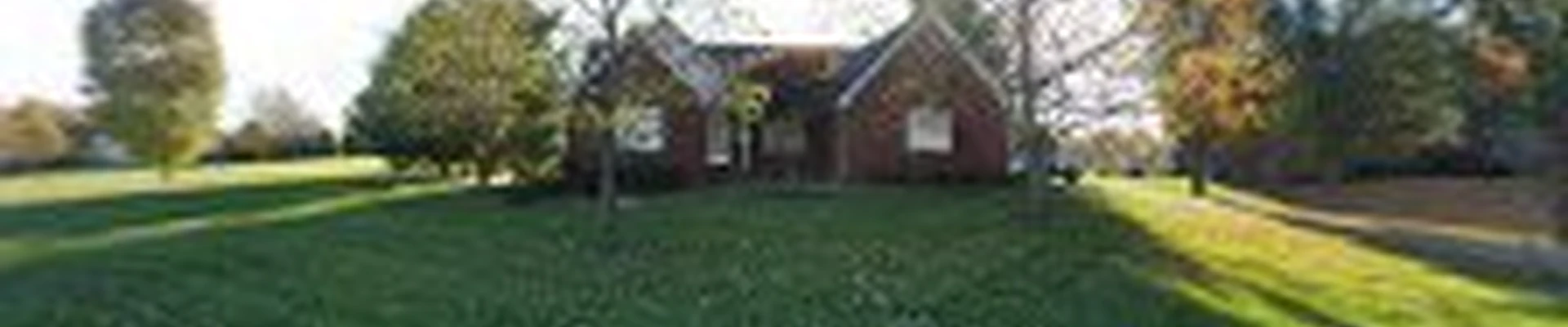 Tino's Tree Service
