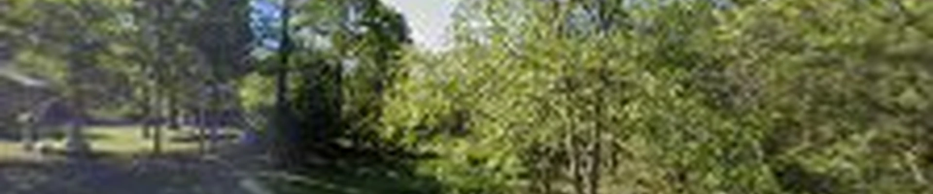 Bronson Services (Tree Care Specialists)
