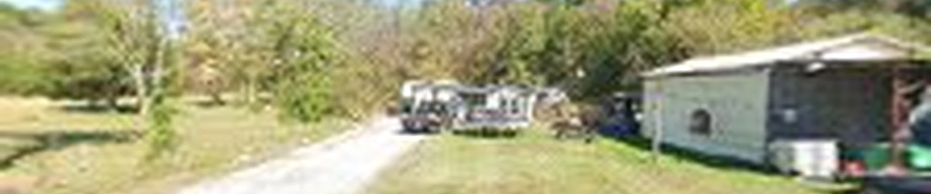Travis's Tree Service