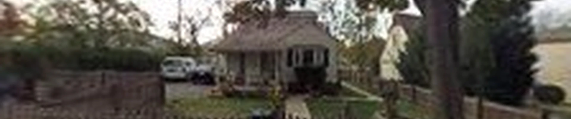 Express Tree Service LLC