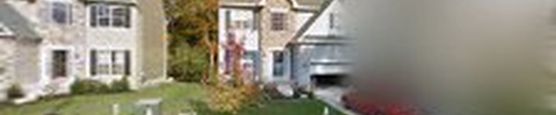 Maryland Professional Tree Services