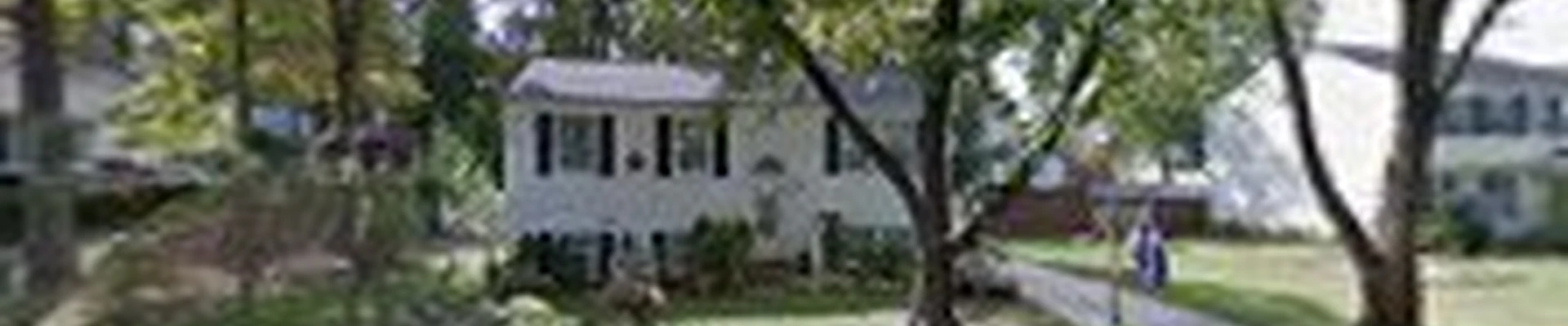 White Oak Tree Expert