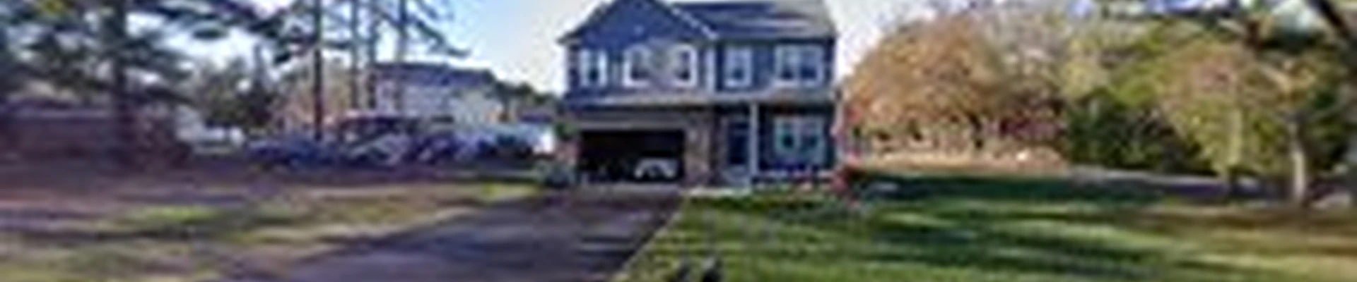 Mad-Dust Stump Grinding LLC
