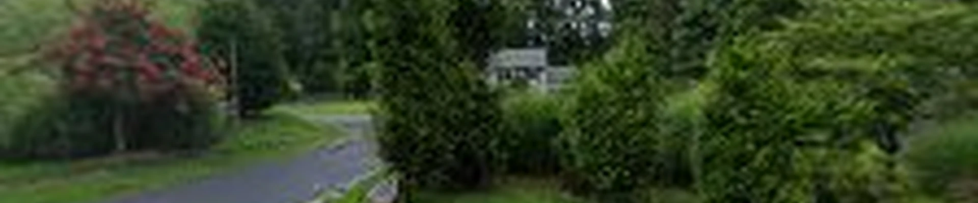 A Cut Above Tree Experts