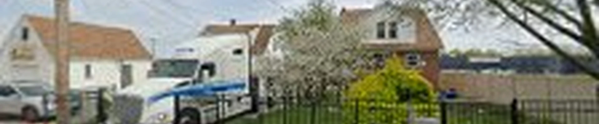 Baltimore Tree Discount Service