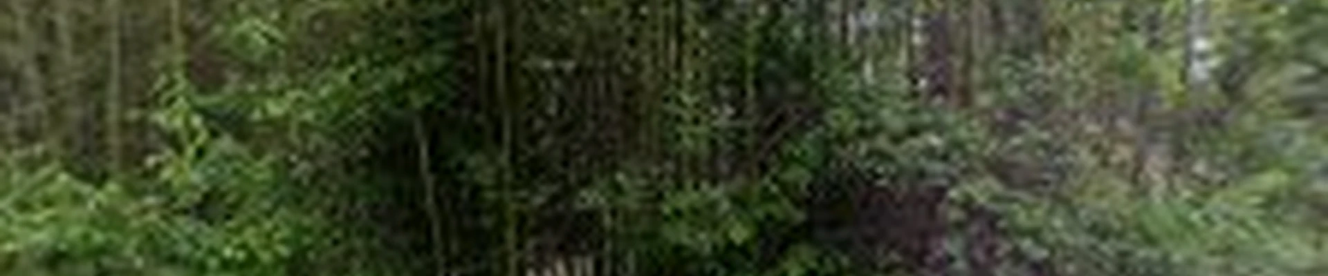 ClearTree, LLC