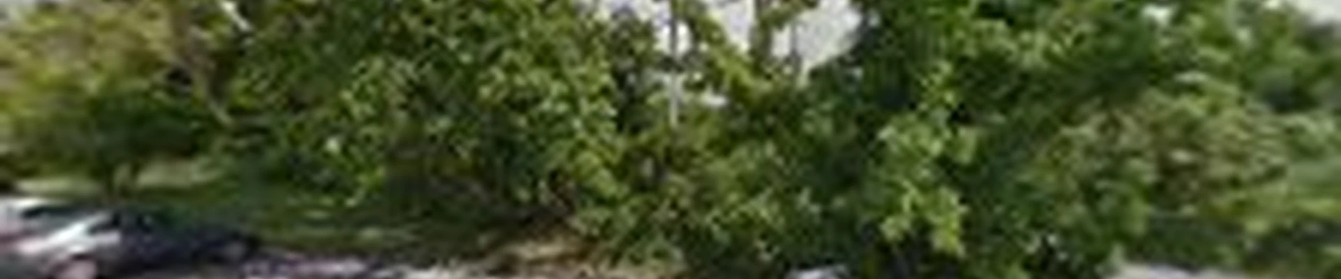 Keil Tree Experts Inc