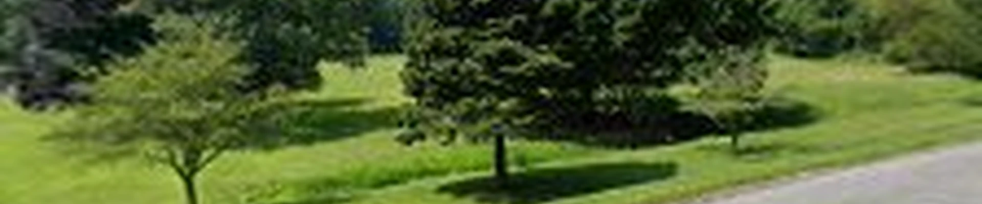 Centurion Tree Experts Inc