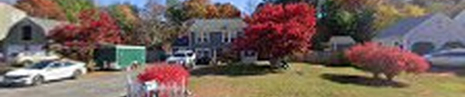 Doug's Tree Service