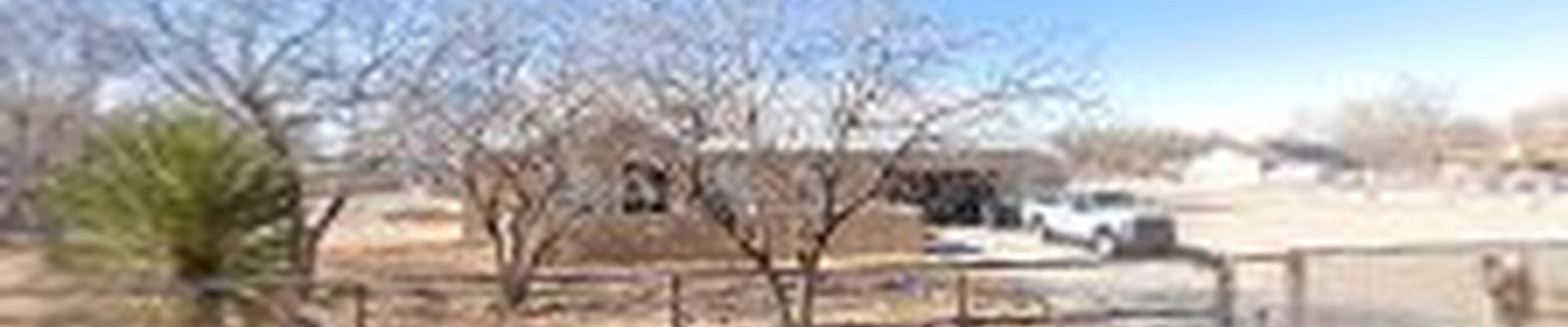 505TREE Services