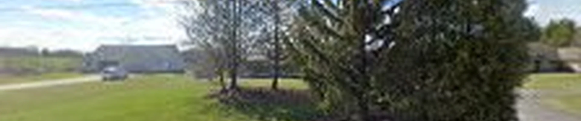 Nelson TreeWorks