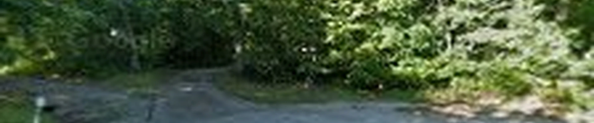 El Cubano Tree Services llc