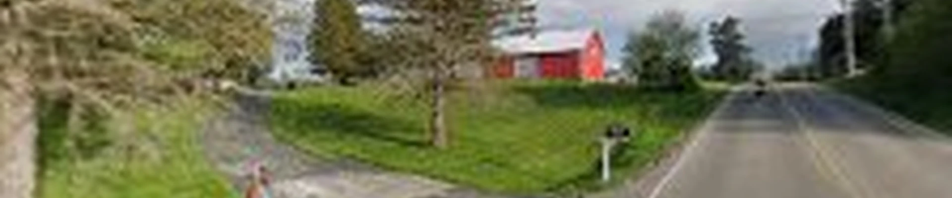 Beaver Tree Services