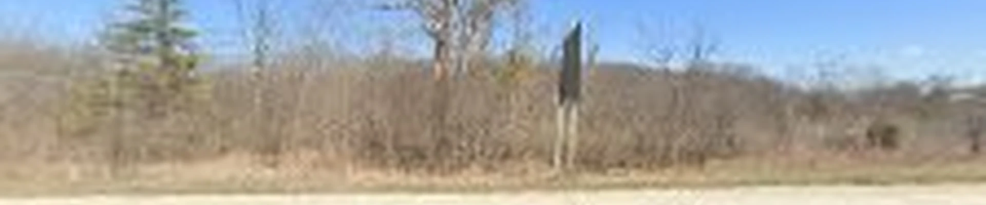 TreesNoMore.com