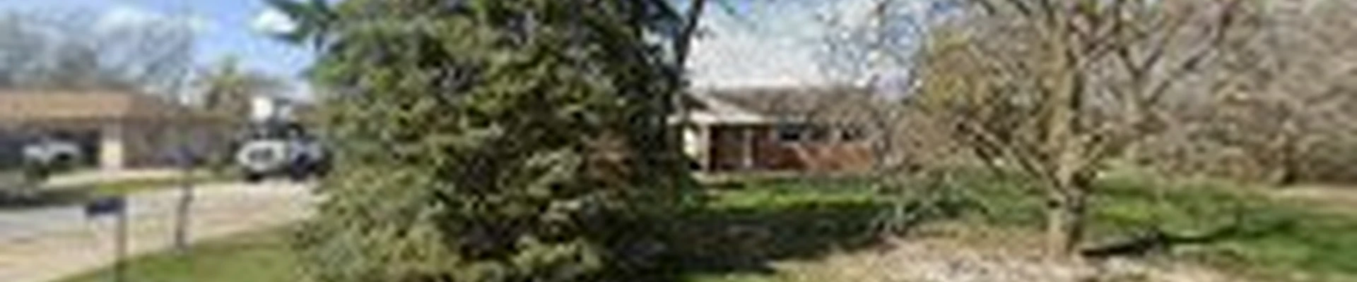 CJ Tree Service LLC
