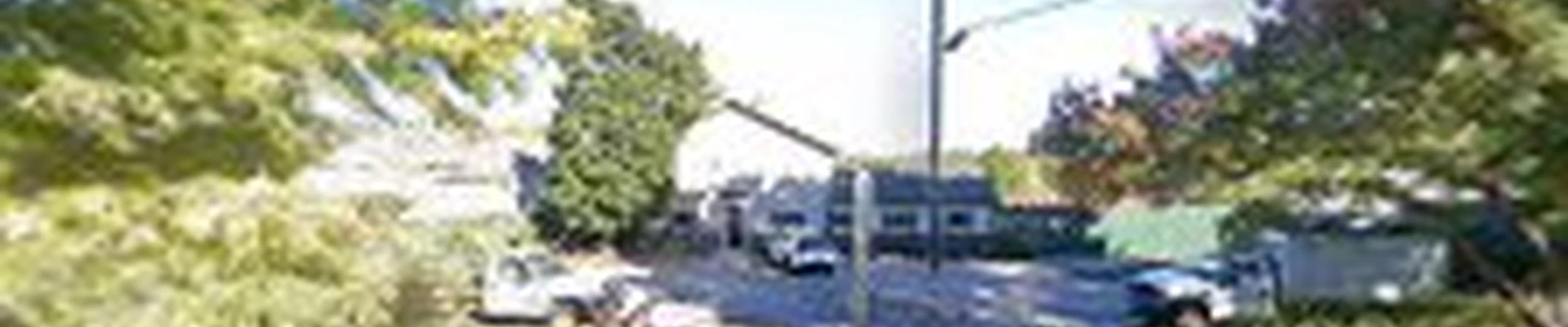 American Tree Experts Inc
