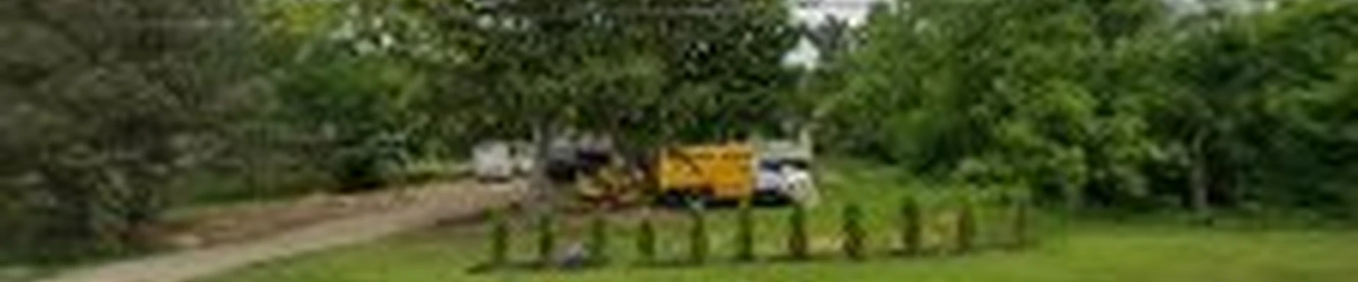 Waukesha Tree Service Pros