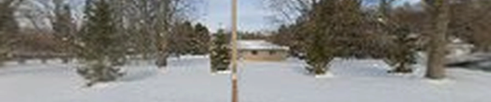 American Arborists Tree Service, Inc