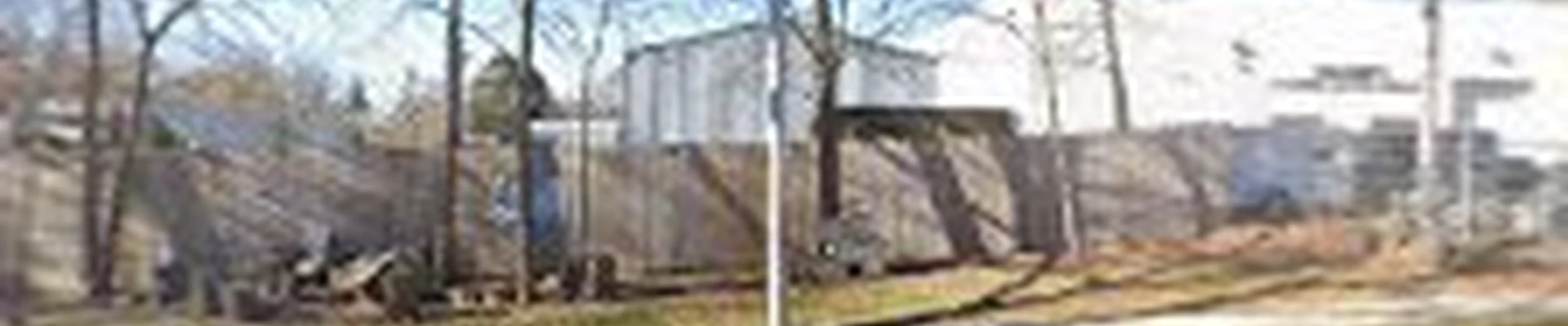 North Shore Tree Service