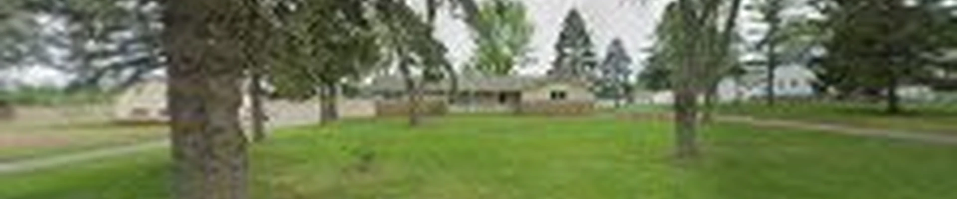 Whitehouse Clear Cut