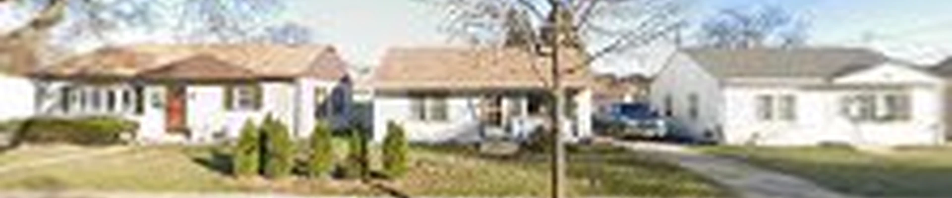 Df Tree And Shrub Llc