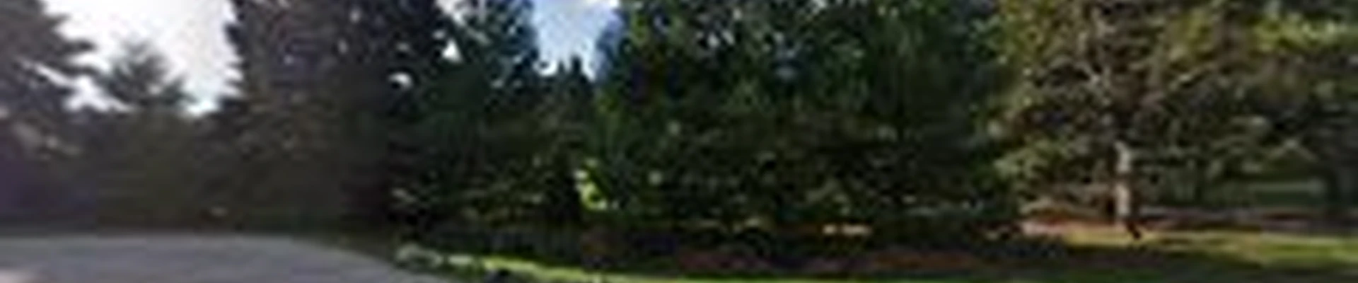 Costa Tree Service, LLC