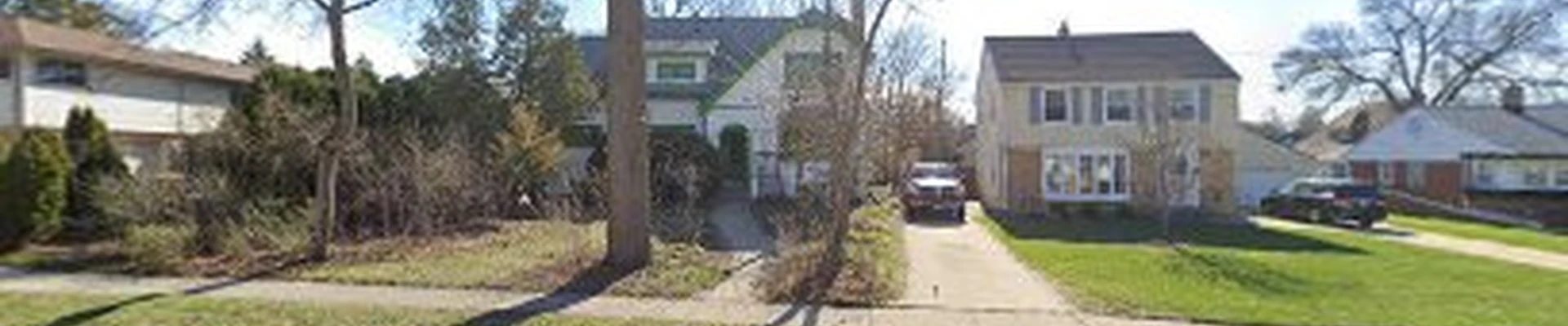 Michael Hoppe Arborist